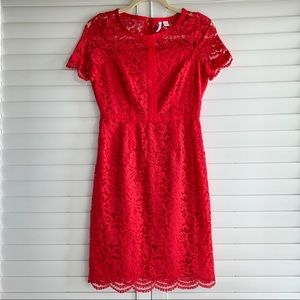 Formal Lace Dress with Scalloped Hem